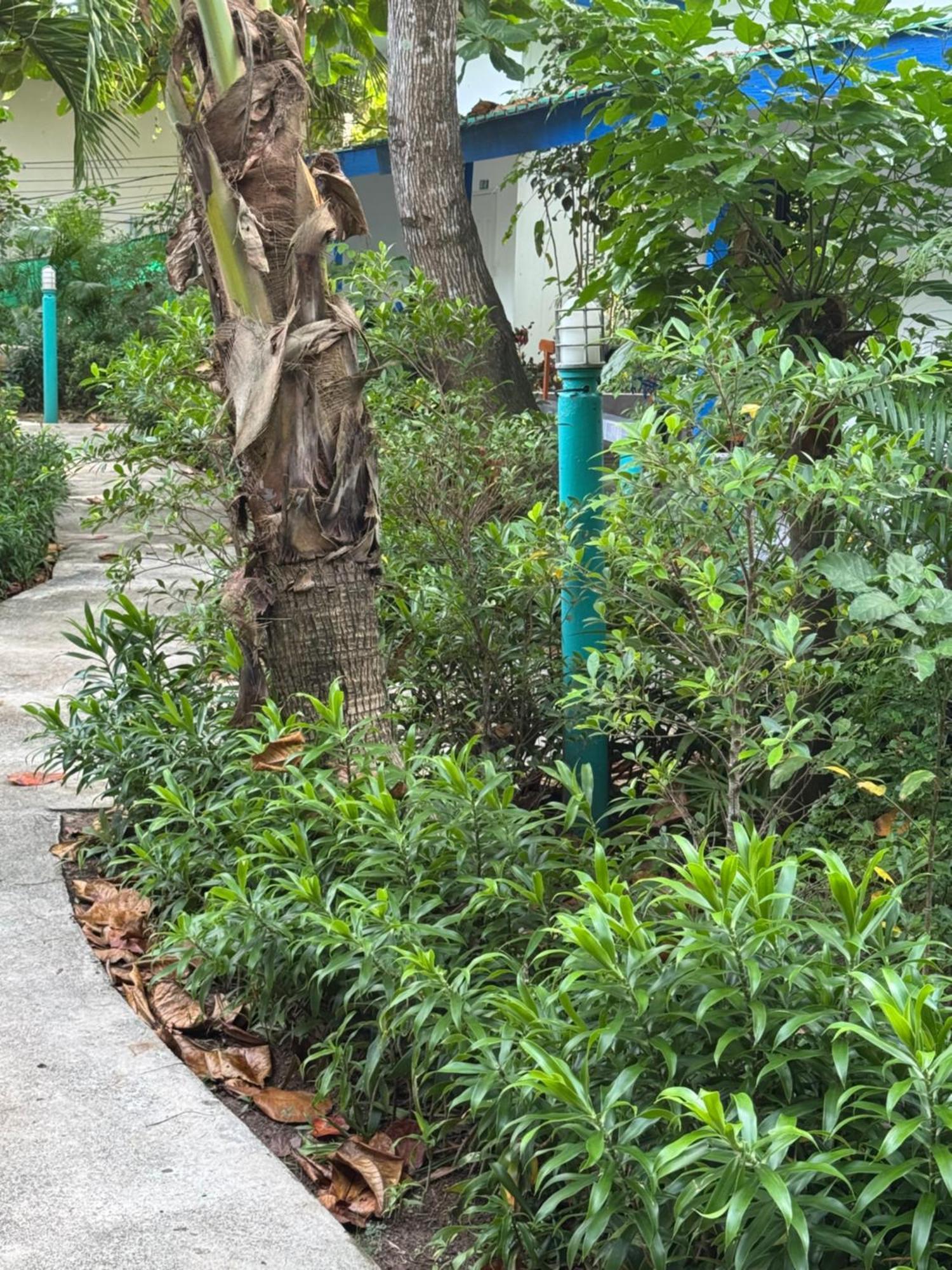 Lanta Island Station touristique Ko Lanta